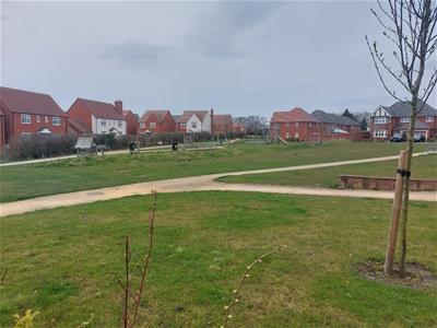 Picture 30